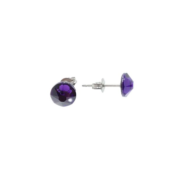 Purple Velvet Titanium Earrings