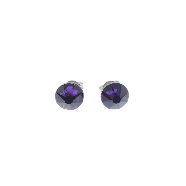 Purple Velvet Titanium Earrings