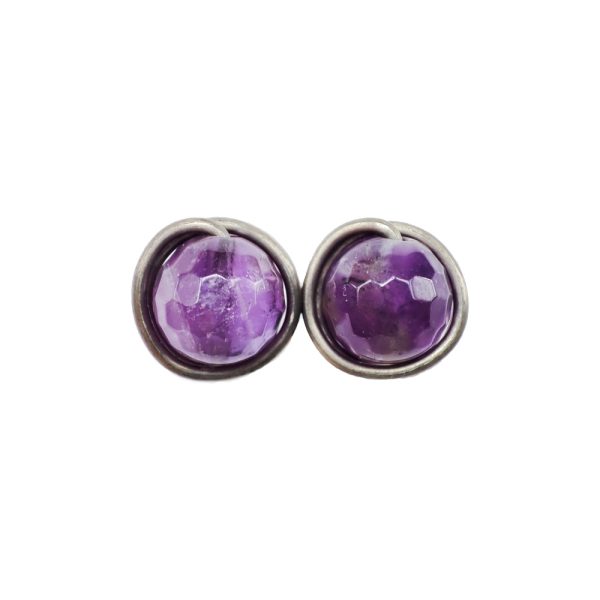 Titanium Earrings with faceted amethyst