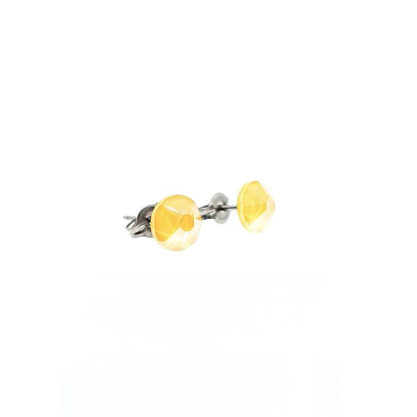 Buttercup pure titanium earrings