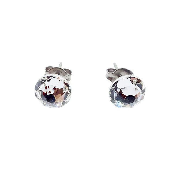 Crystal pure titanium earrings